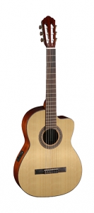 Гитара классическая Parkwood PC110